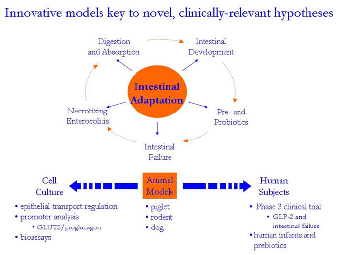 Innovative models key to novel, clinically-relevant hypotheses